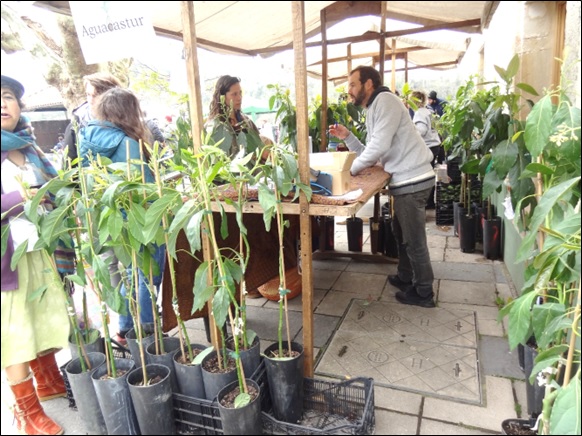 Puesto de la organizacin. | EL ECO