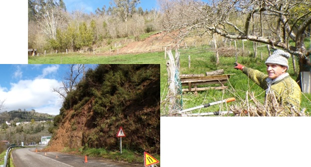 Imagenes de dos argayos en el concejo de Cabranes