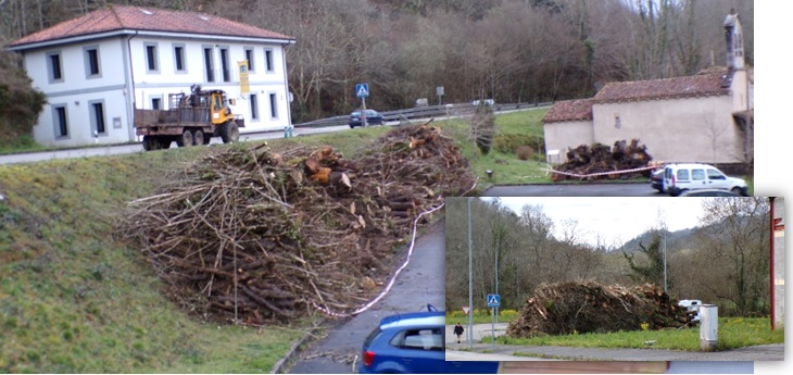 Troncos de �rboles sacados del r�o Viacaba