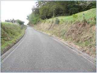 Aspecto  -de desbroce reciente-  de la carretera de acceso a La Rebollada, en imagen captada el domingo, 30 de agosto. / EL ECO