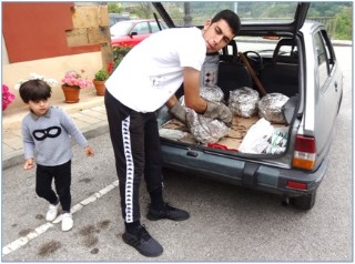 Bajando las boroas para partirlas en raciones