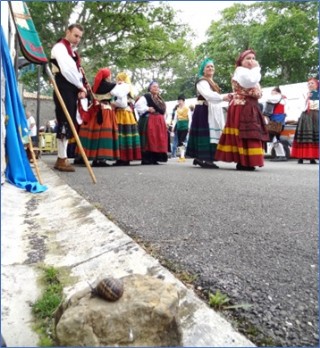 Imagen del caracol situado en la piedra