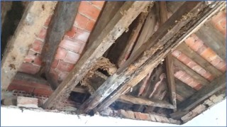 Imagen del deterioro del cementerio de Vin