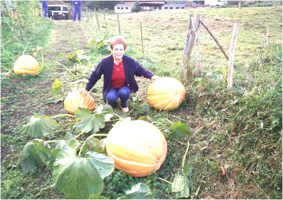 Evelia Meana Teresa con parte de su produccin de calabazas, en Cams.