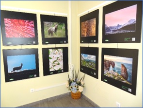 Imagenes de la exposicin Asturias naturalmente expuesta en la Casa de Cultura M Josefa Canellada