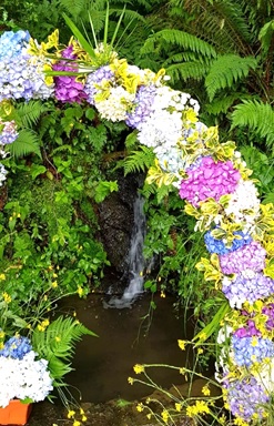 Decoracin de la Fuente de La Braa