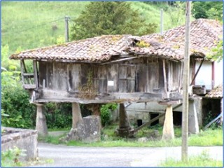 Panera de Vi�on