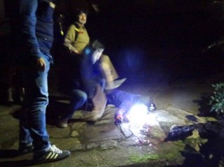Un accidente, un accidente, hay que auxiliarlo. EL ECO