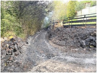 Imagen del camino despus del incendio