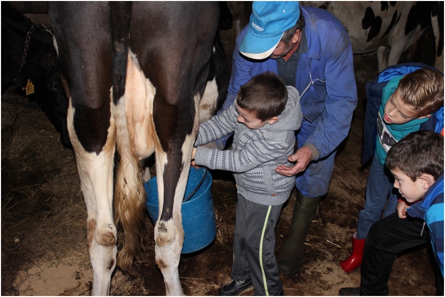Nios del Cra aprendiendo a catar una vaca