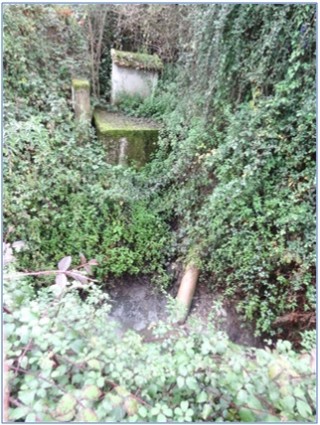 Detalle del estanque de lodos, llegando a Santa Eulalia desde Puente Lluengra
