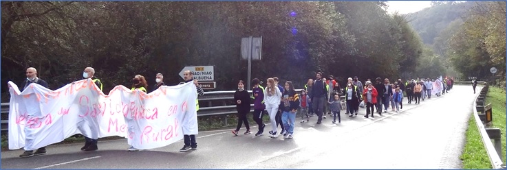 La manifestacin, en la recta de Vin (carretera AS-255).