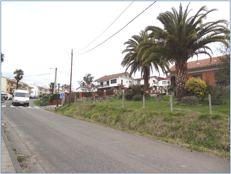 Zona de palmeras y terreno en permetro de afeccin, si bien no necesariamente sern suprimidos tales bienes cuando se ejecute la obra. /  ECO