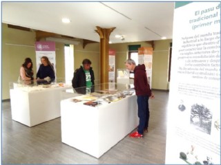 Visitantes viendo la exposicin