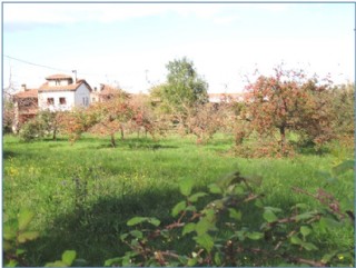 Los Reyes pudieron admirar la enorme cosecha de manzana de este ao, pues los vecinos esperararon a esta visita para comenzar a llimir los pumares, rebosantes, como en nuestro Concejo./ EL ECO