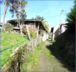 Imagen de la Caneyina