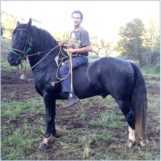 Imagen de David Prida con una de sus grandes pasiones los caballos