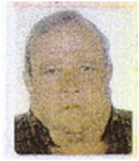 Pepin el de Hira