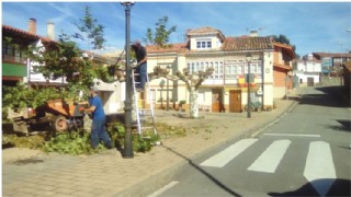 Tiempo de Poda
