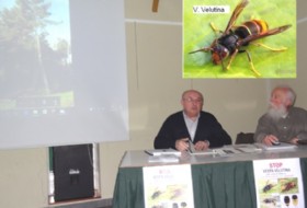 Casimiro Sixto y Flix Mjica, durante la charla celebrada en Santa Eulalia./ EL ECO