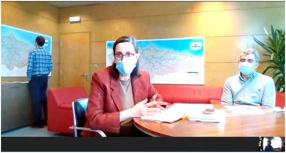 Imagen de la reunin telemtica con Nieves Roquei y su jefe de servicio. En recuadro inferior, a la derecha, Gerardo Fabin.