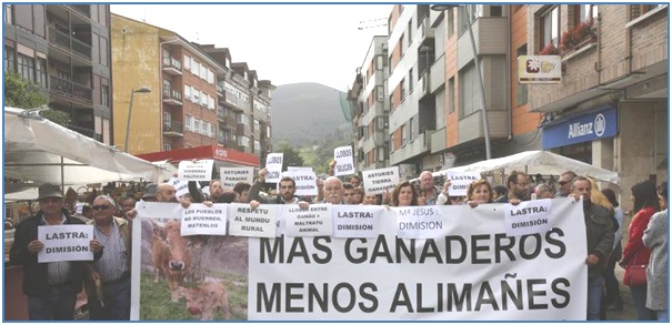 Protesta ganadera en la avellana de Infiesto