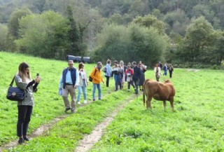 En Sales, camino de FungiNatur, atravesando una pradera