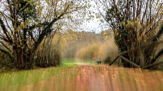 �Bohemia�, recreaci�n sobre la Senda Fluvial, de Alfonso Dosuna