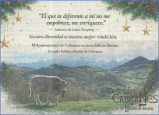 La felicitaci�n navide�a del Alcalde, aludida en la p�gina 12