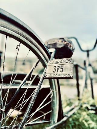 Imagen ganadora de Manuel Lloris Perez