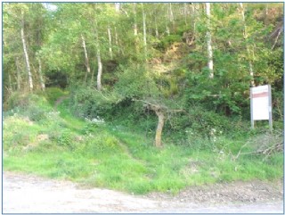 En la foto, el comienzo de la Ruta, en la subida hacia Mases. EL ECO