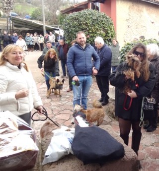 Sí había animalillos. Y el jamón, ´negru enteru´.