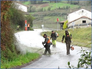 Operarios limpiando la carretera As-255 a la altura de Casa del Ro