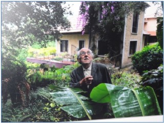 Foto exposicin miraes