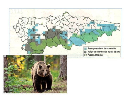 Mapa obtenido del diario La Nueva Espaa