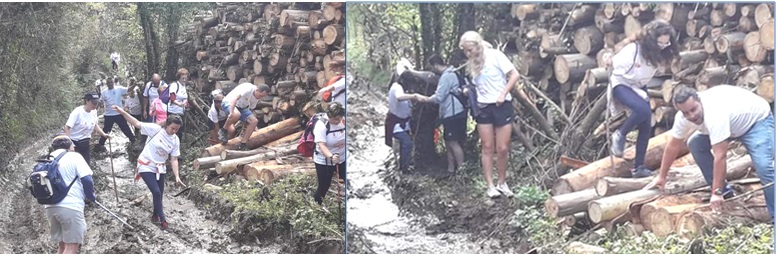 Destrozos en el sendero PR As-52 por la tala de arboles