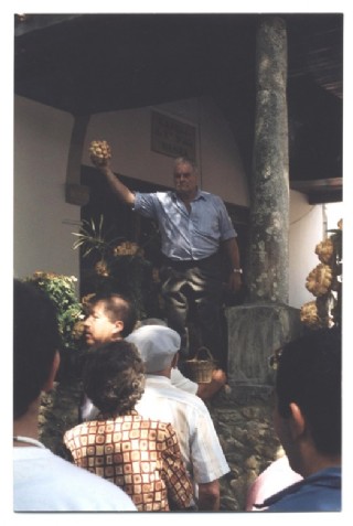 Imagen de Varisto el de Peella