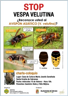 Cartel charla-coloquio