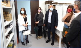 Visita de una de las oficinas del Vivero