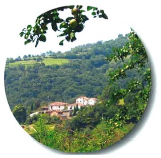 Vista de Carabau
