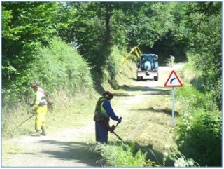 Trabajos de desbroce en las carreteras de Cabranes