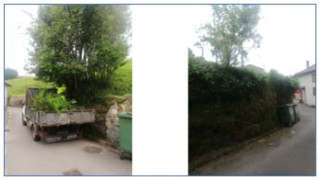 Trabajo de poda de lloreos en la zona de la Fragua en Santa Eulalia