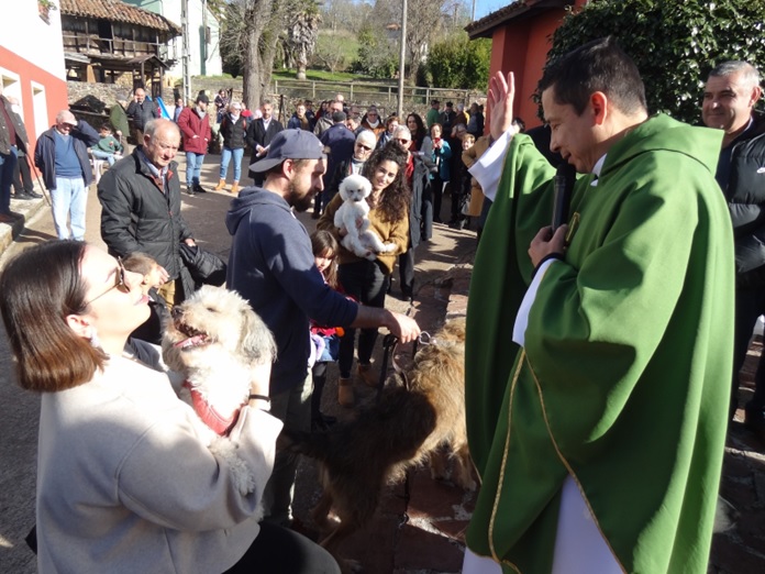 Momento de bendicin de mascotas. | Fotos: EL ECO