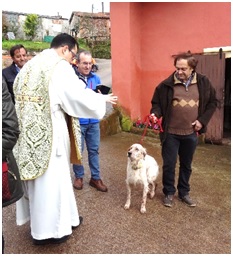 Fotografia De San Antn 2019