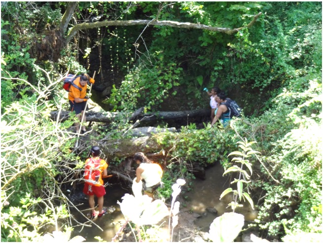 Tareas de rescate de objetos, a la altura de Puente Lluengra. / Foto: EL ECO
