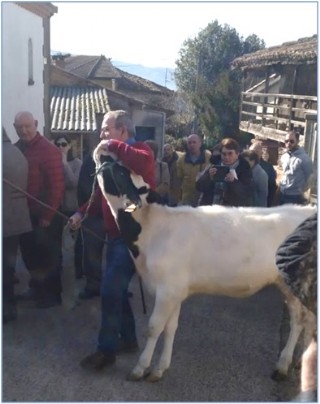 Enrique Meana se vali de un truco para llevar su xata entre la gente hasta el lugar donde fue bendecida.
