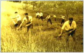En la foto, escena campesina cabranesa antigua.