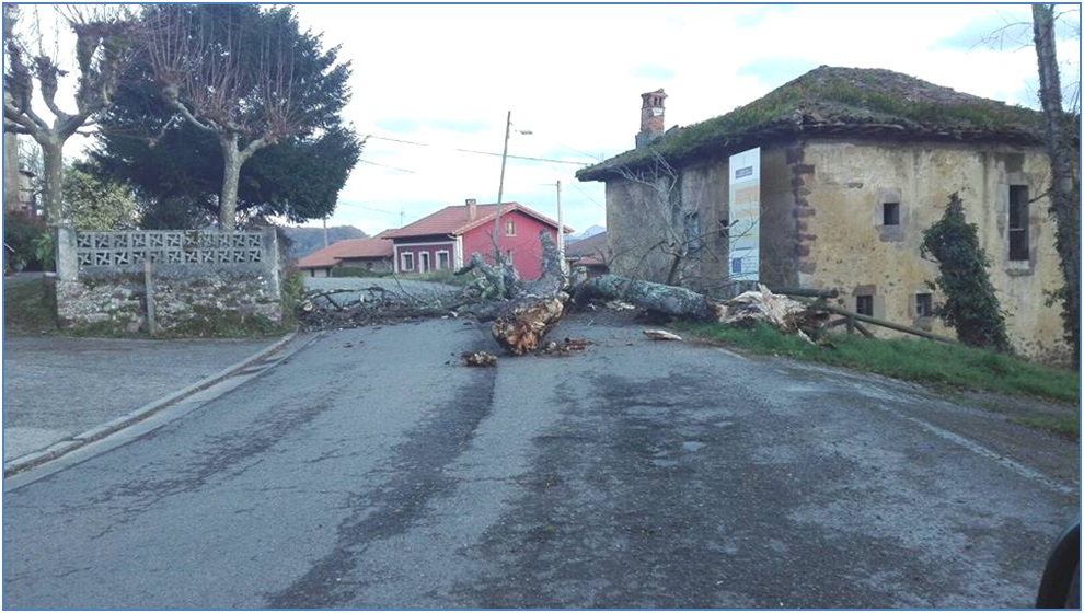 Foto: Proteccin Civil Cabranes