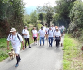 Imagenes de años anteriores de los participantes en la Caminata por Diego