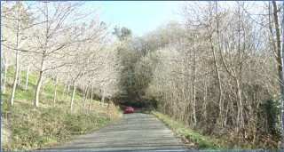 Vista de una parte del tramo de la carretera de Santa Eulalia